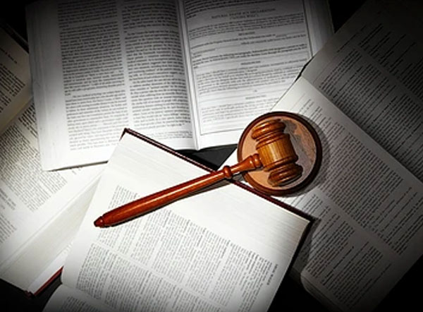 民事訴訟證據(jù)收集服務(wù)